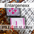 Enlargenexx 32